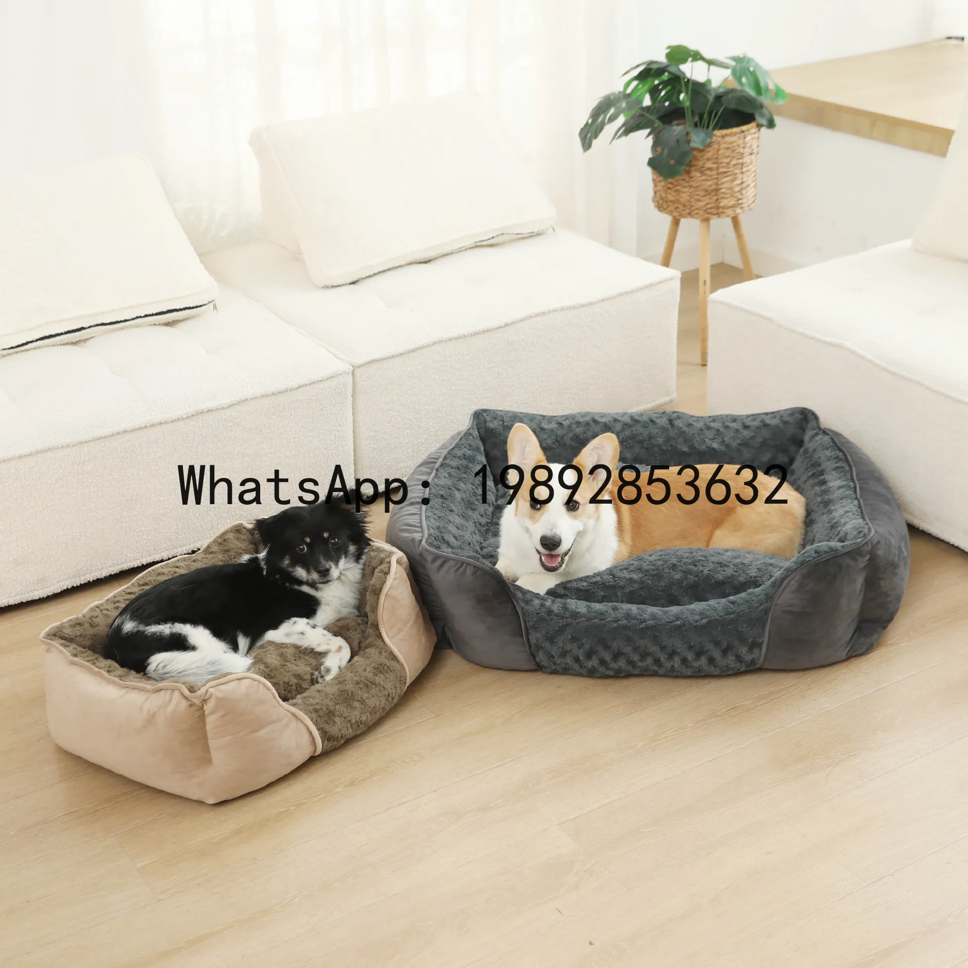 Pet X Supplies & Tack Howell Mi - Домик для кошек X, полузакрытая будка