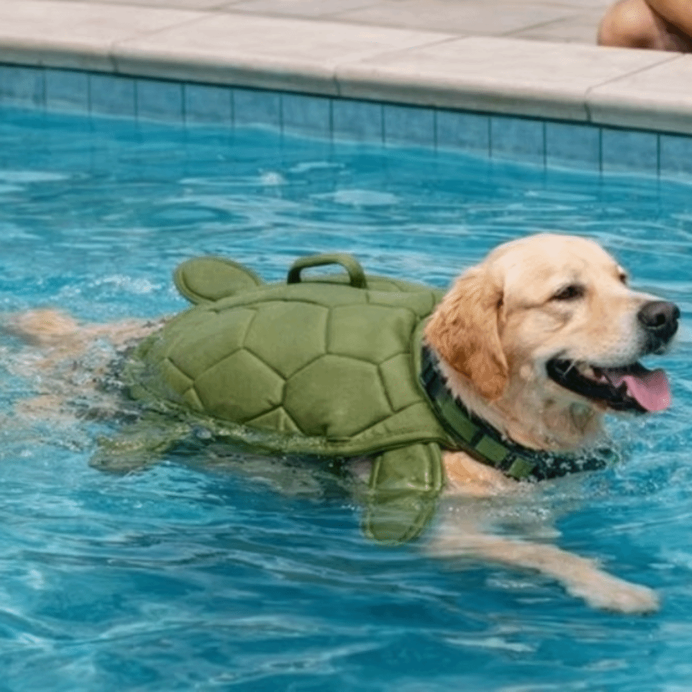 Dog Life Jacket - Милый спасательный жилет для собак в