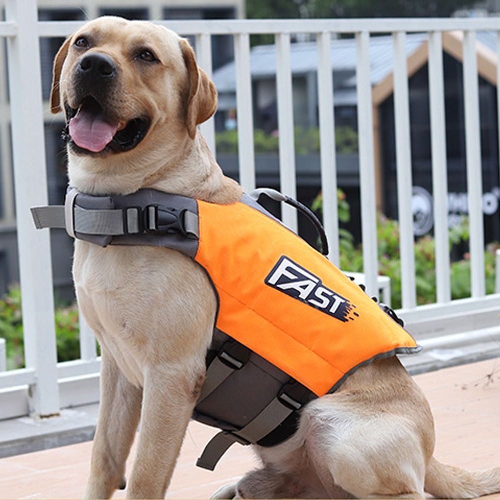 Регулируемый спасательный жиле – обзор и цена Dog Life Jacket