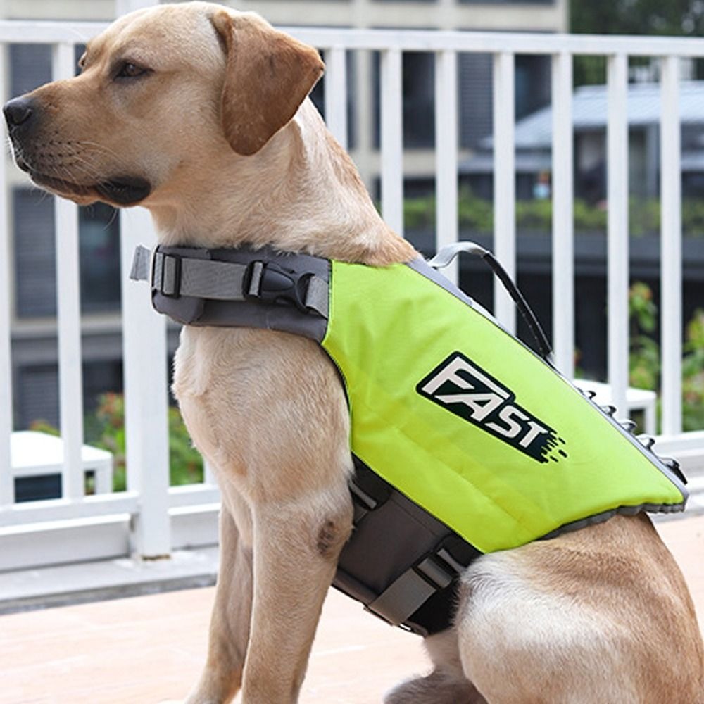 Регулируемый спасательный жиле – обзор и цена Dog Life Jacket