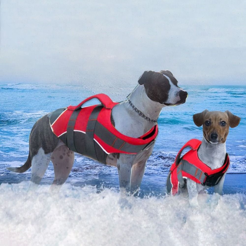 Светоотражающий спасательный ж – обзор и цена Dog Life Jacket