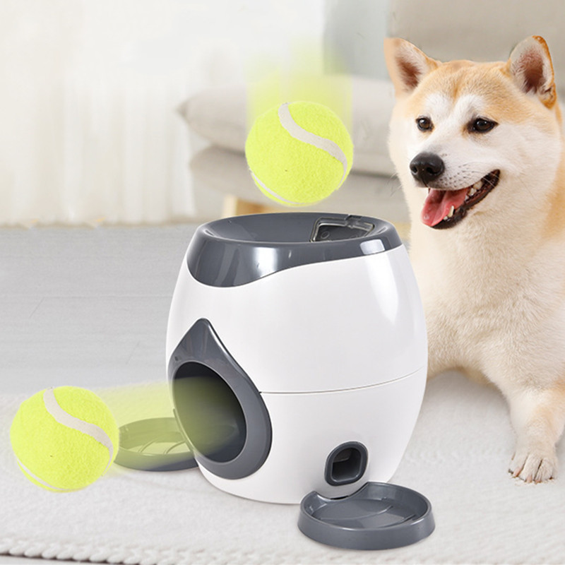 Интерактивная игрушка для соба – обзор и цена Pet Supplies Rewards