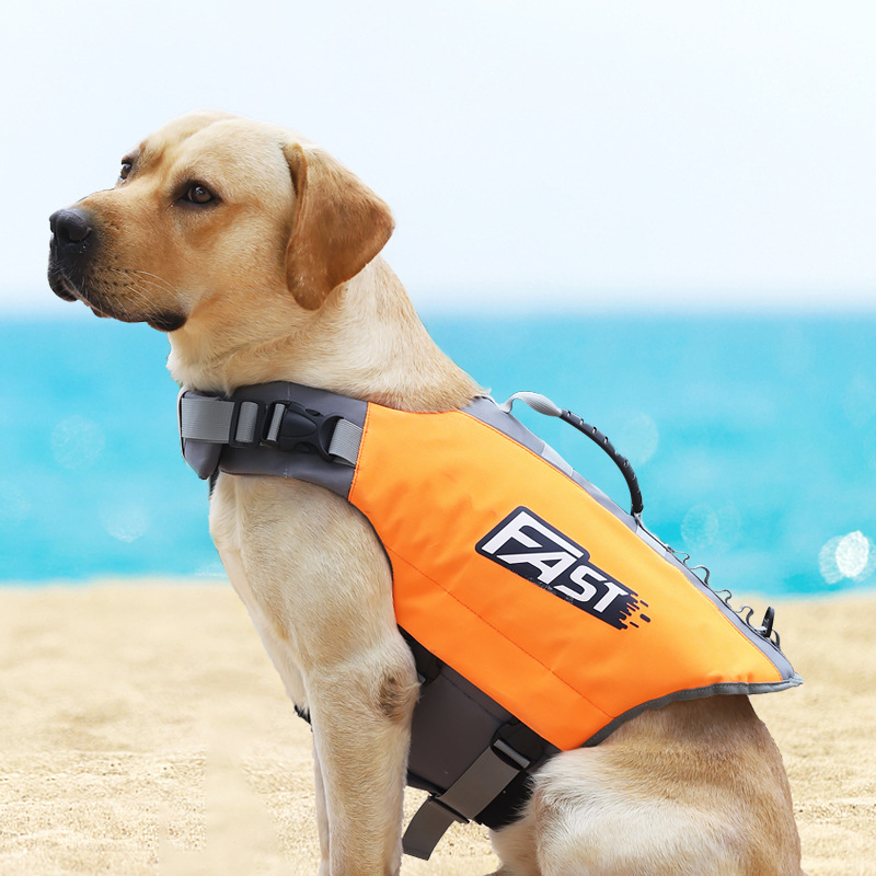 Спасательный жилет для собак:  – обзор и цена Dog Life Jacket