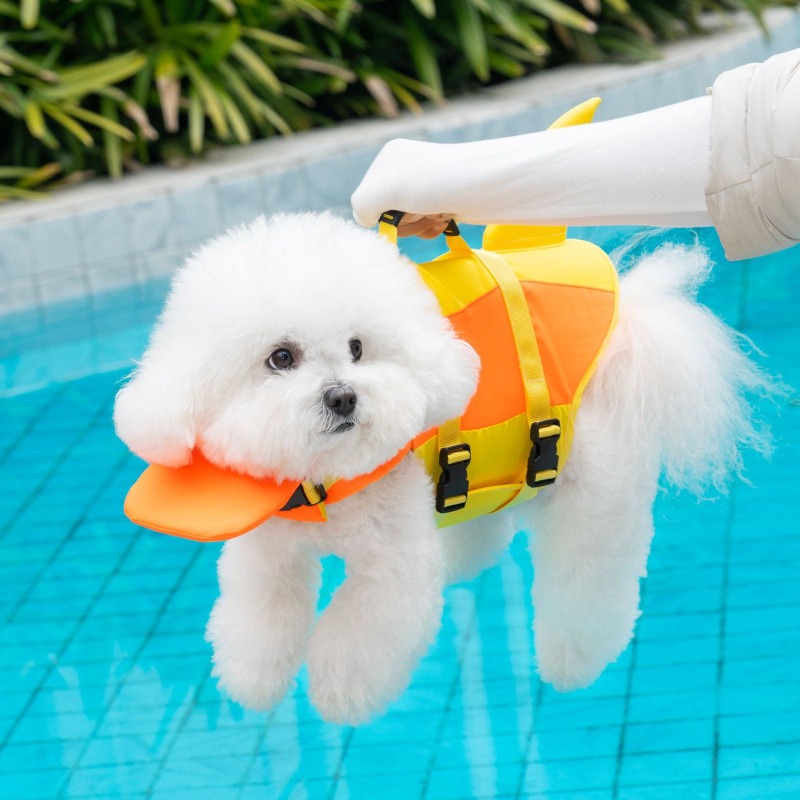 Спасательный жилет для собак S – обзор и цена Dog Life Jacket