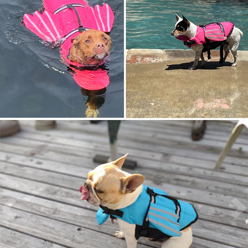 Спасательный жилет для собак,  – обзор и цена Dog Life Jacket