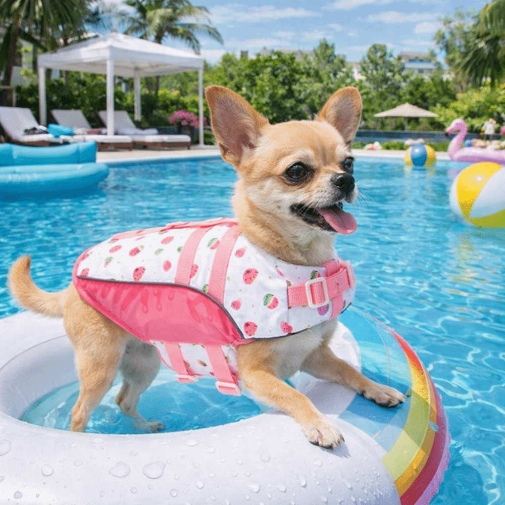Регулируемый спасательный жиле – обзор и цена Dog Life Jacket