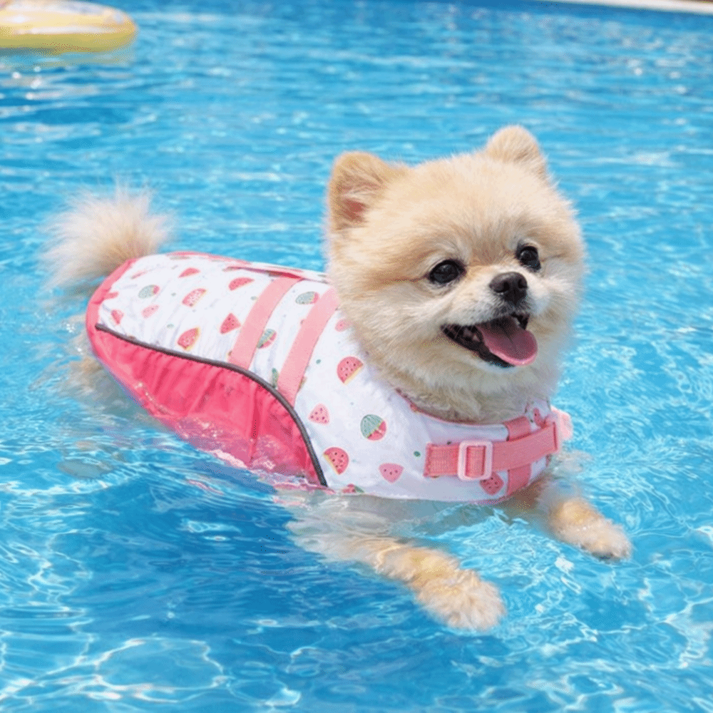 Регулируемый спасательный жиле – обзор и цена Dog Life Jacket